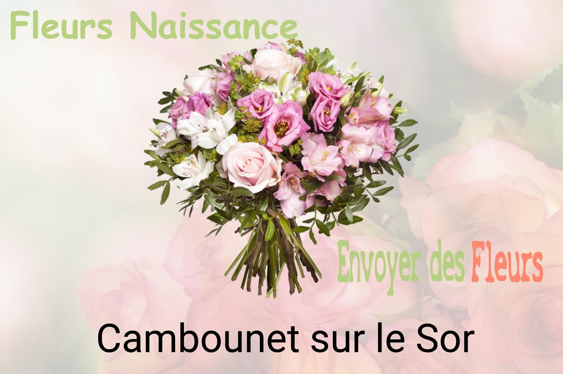 Bouquet de fleurs de naissance livré à Cambounet-sur-le-Sor